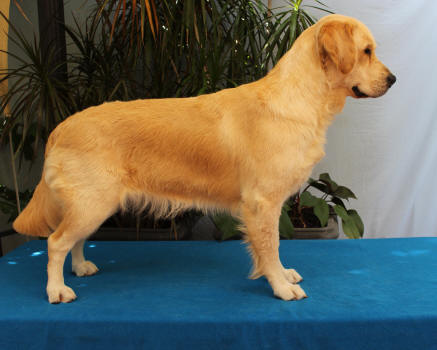 Miss Willow 18 mths